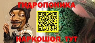 СК Кингисепп