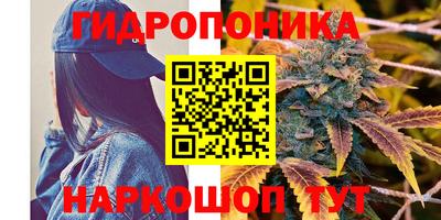 СК Кингисепп