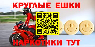 СК Кингисепп