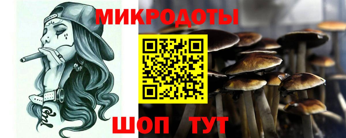 Галлюциногенные грибы ЛСД Куйбышев